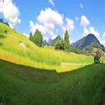 Family Log In The Alps