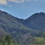 Family Log In The Alps *