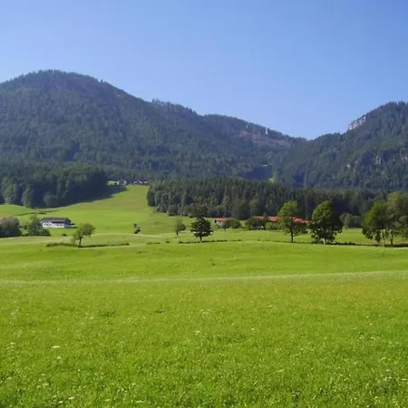 Family Log In The Alps Ruhpolding