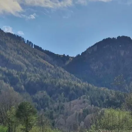 Family Log In The Alps *