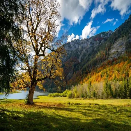 Family Log In The Alps Σπίτι διακοπών
