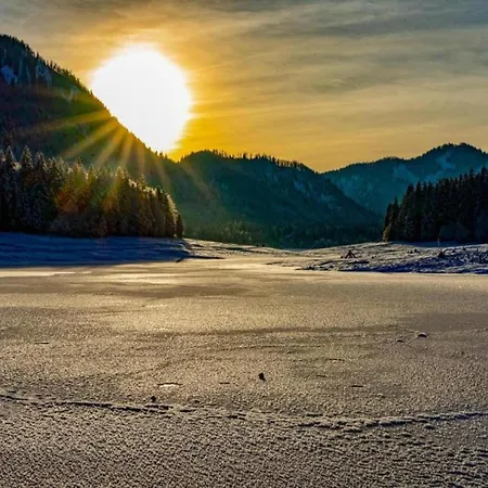 Family Log In The Alps بيت للعطل *