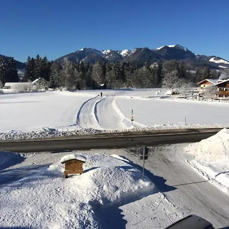 Family Log In The Alps